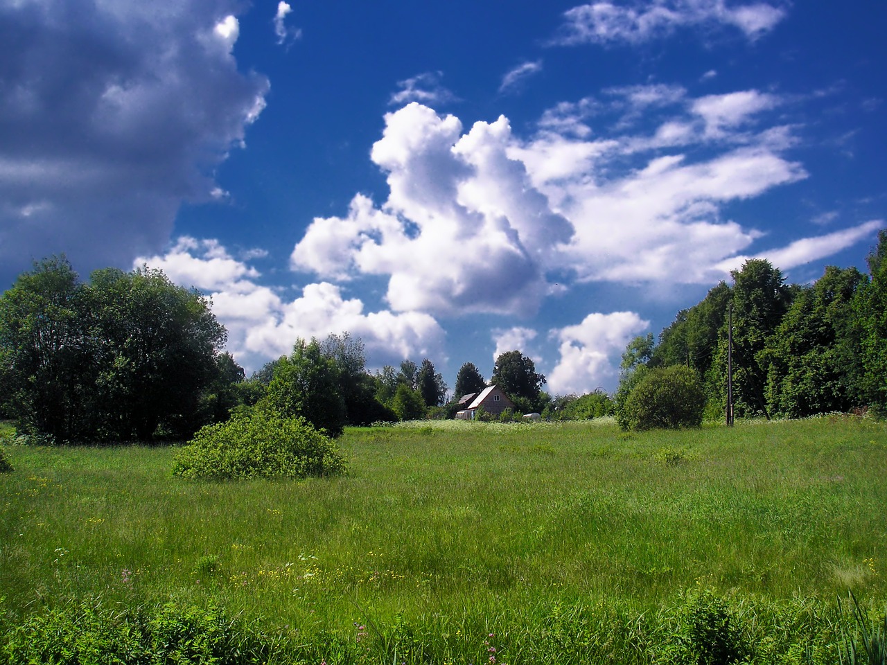 russia landscape scenic free photo