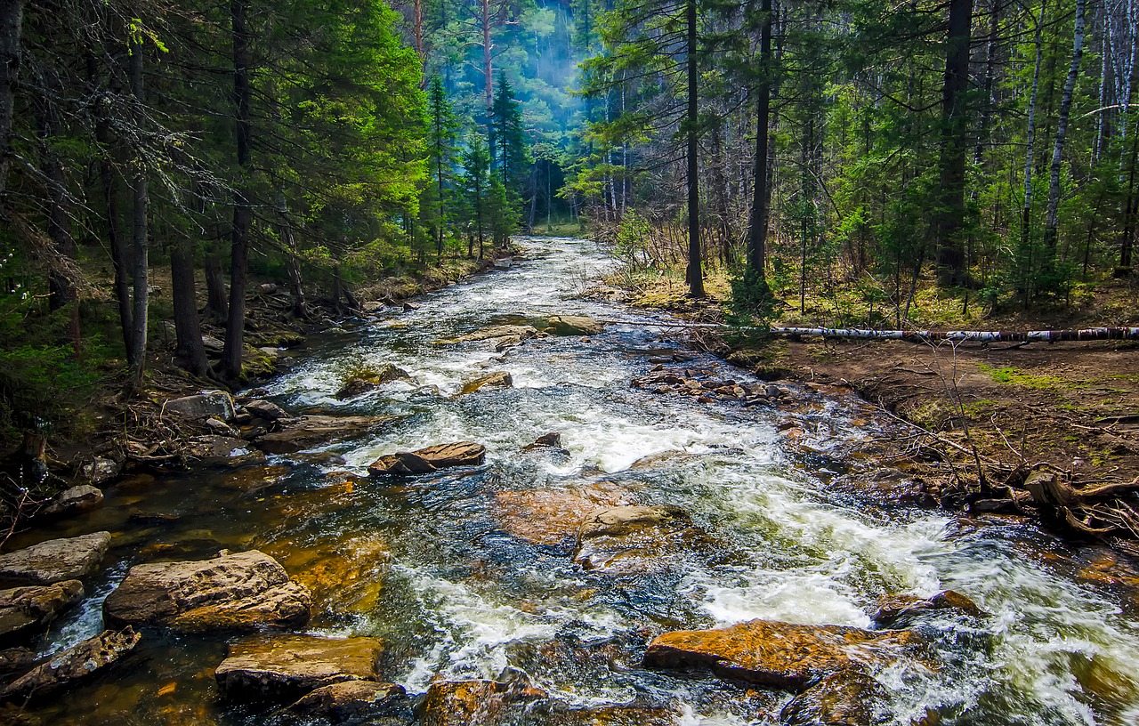 russia stream creek free photo