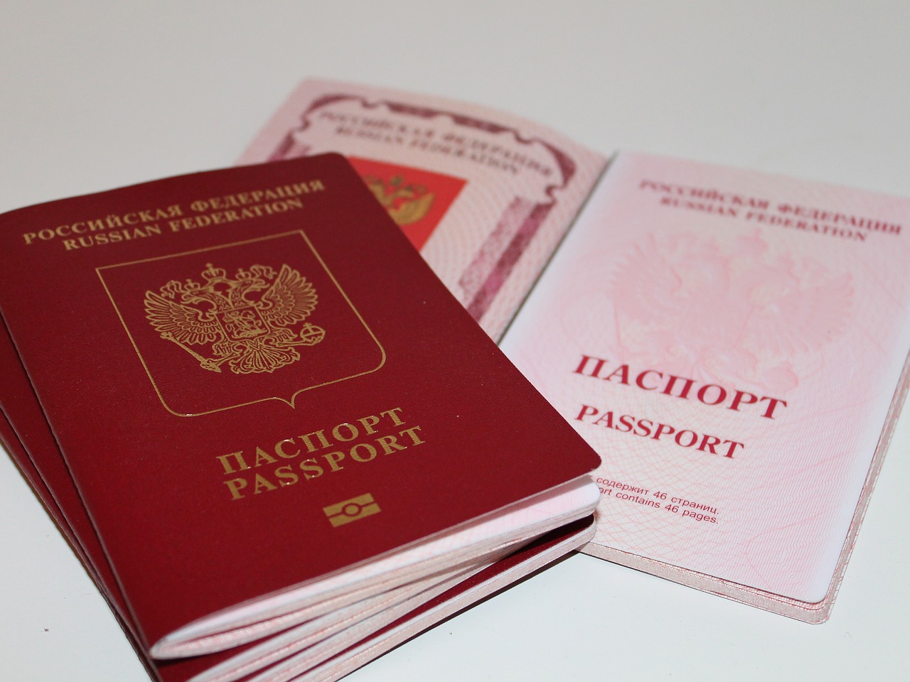 russia passport document free photo