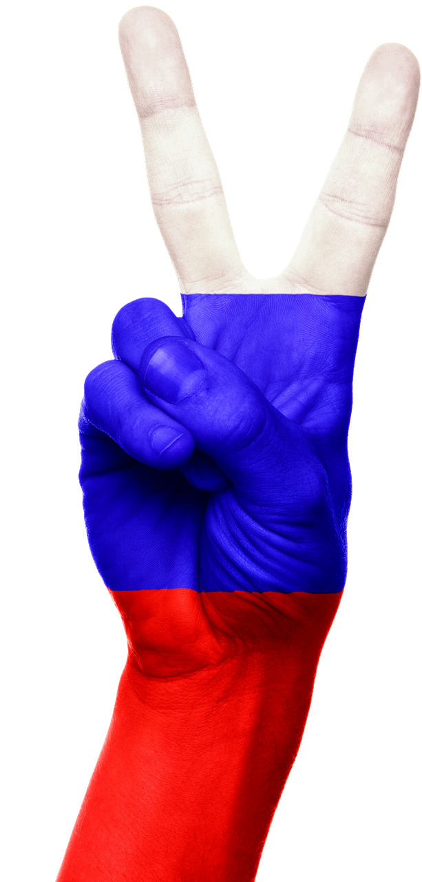 russia flag hand free photo