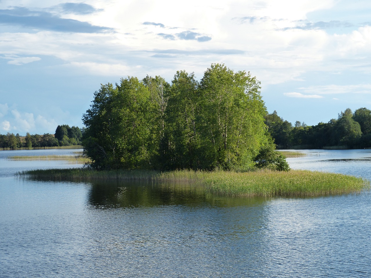 russia river forest free photo