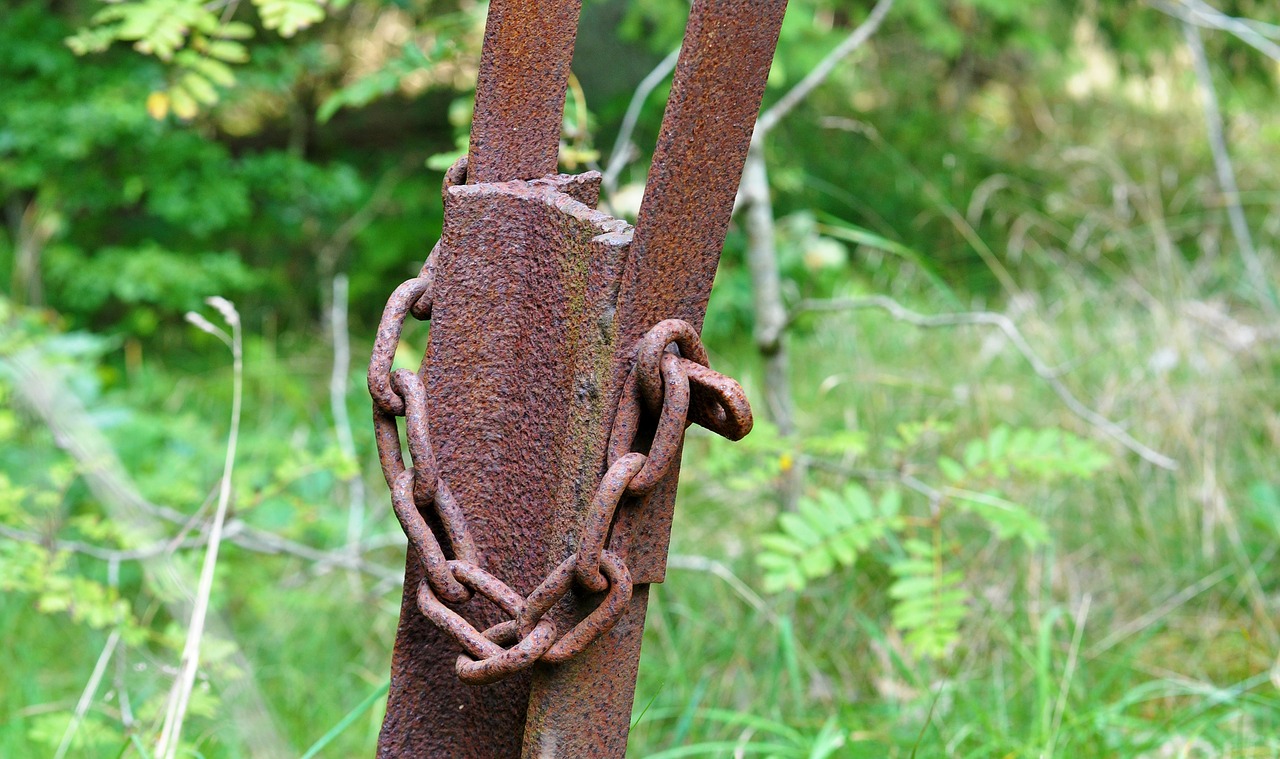 rust steel chain free photo