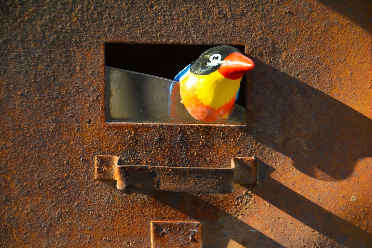 rust letterbox bird free photo