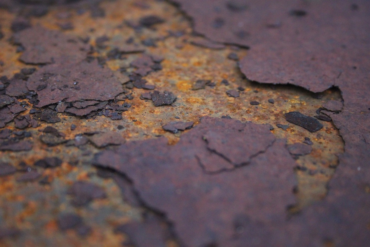 rust garden metal free photo