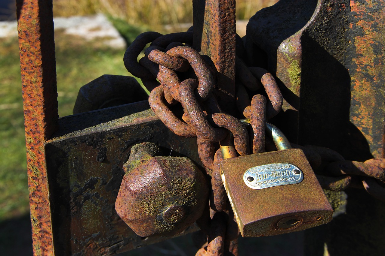 rust  gate  door free photo