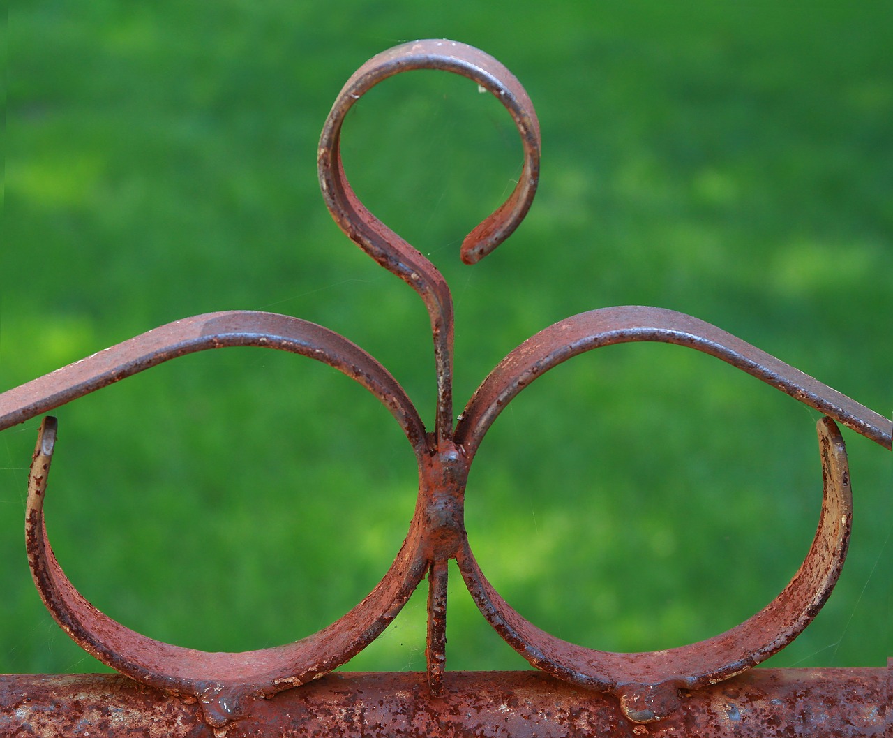 rust circles fence free photo