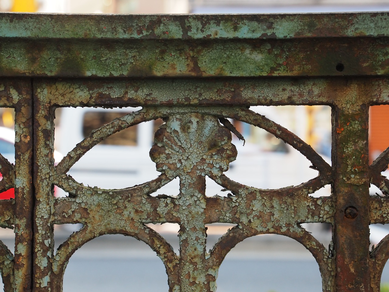 rust brim fence free photo