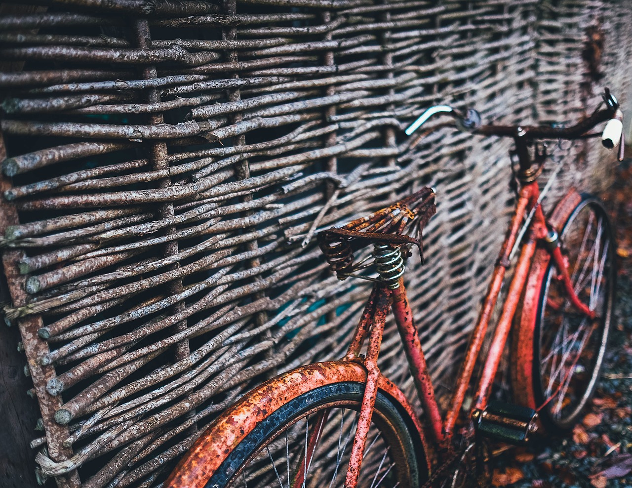 rustic bicycle retro free photo