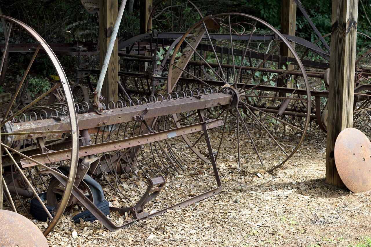 rustic old rusty free photo