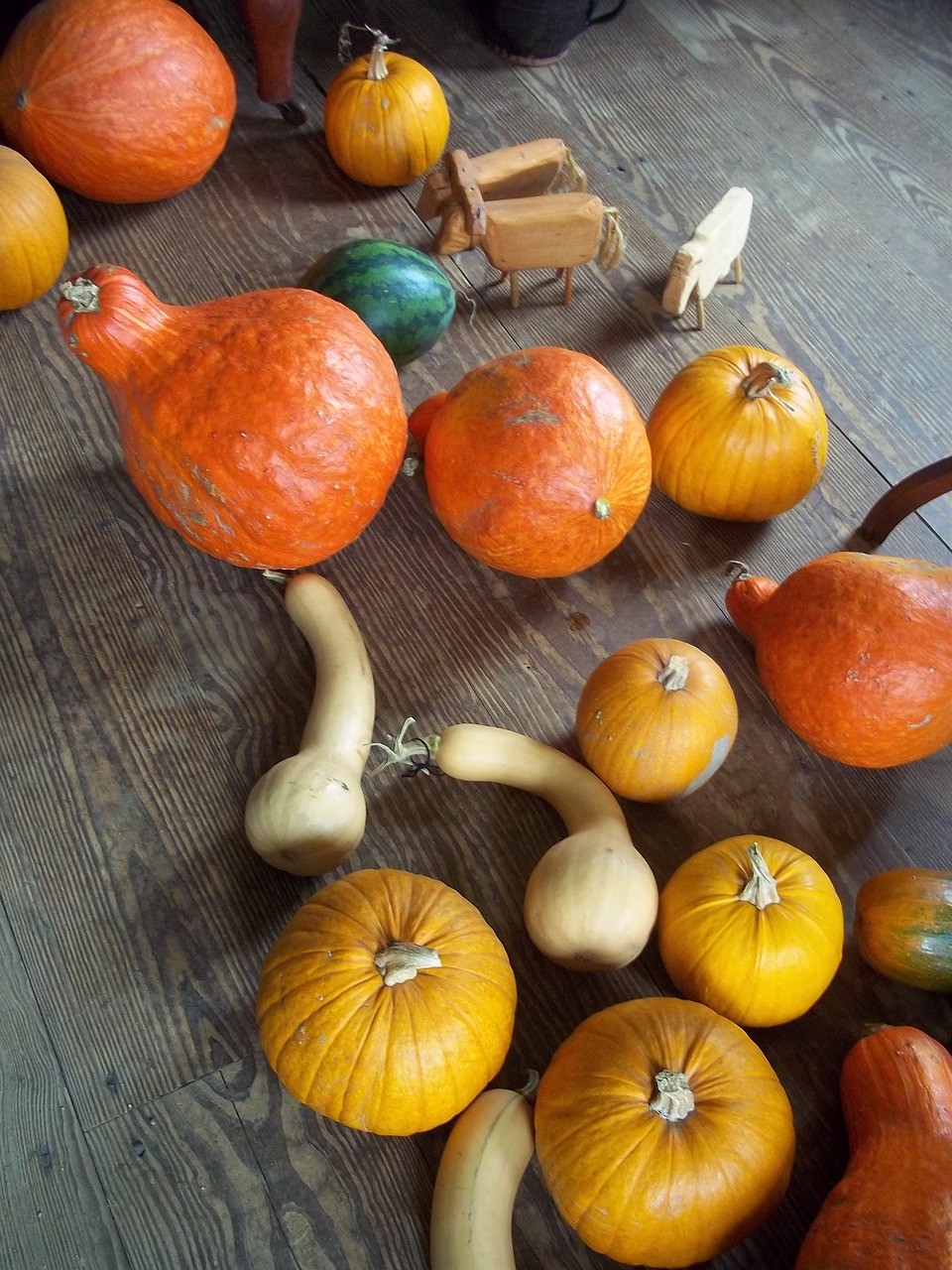 rustic gourd squash free photo