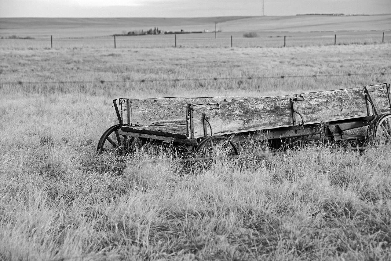 rustic wagon wooden free photo