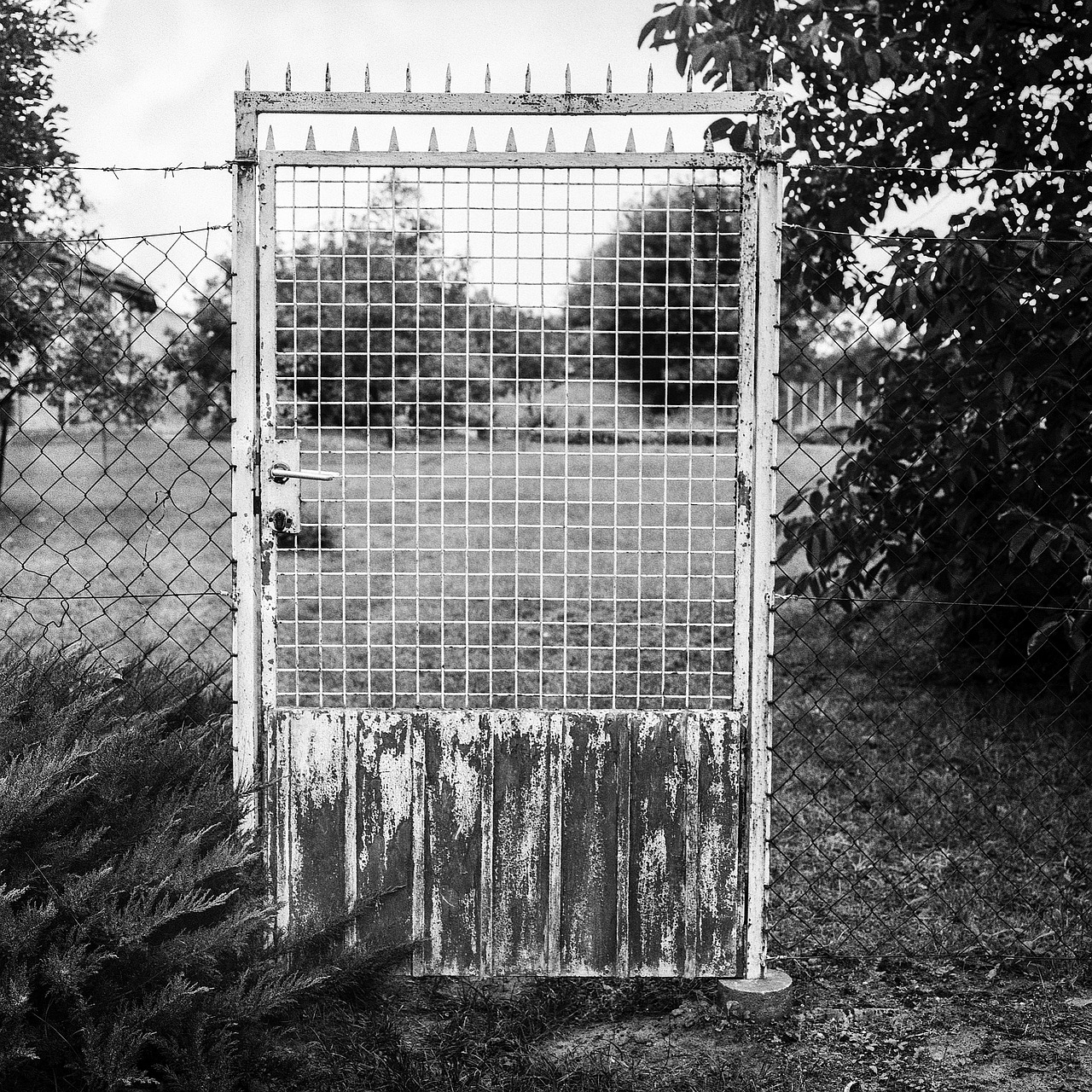 rustic gate fence free photo