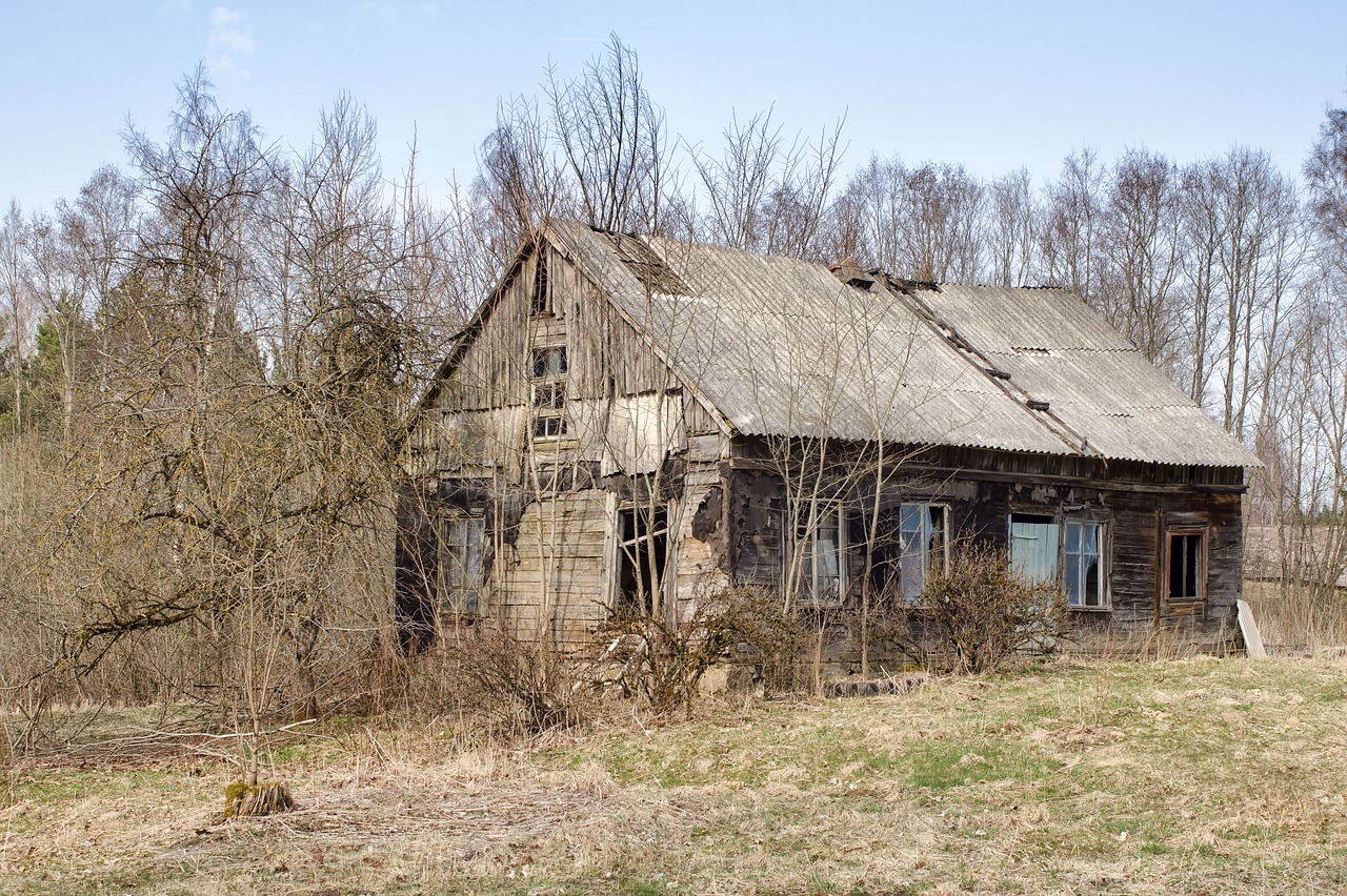 rustic  wood  house free photo