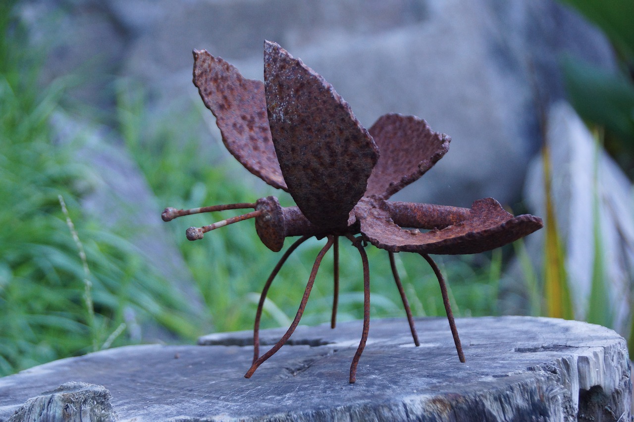 rustic  butterfly  nature free photo