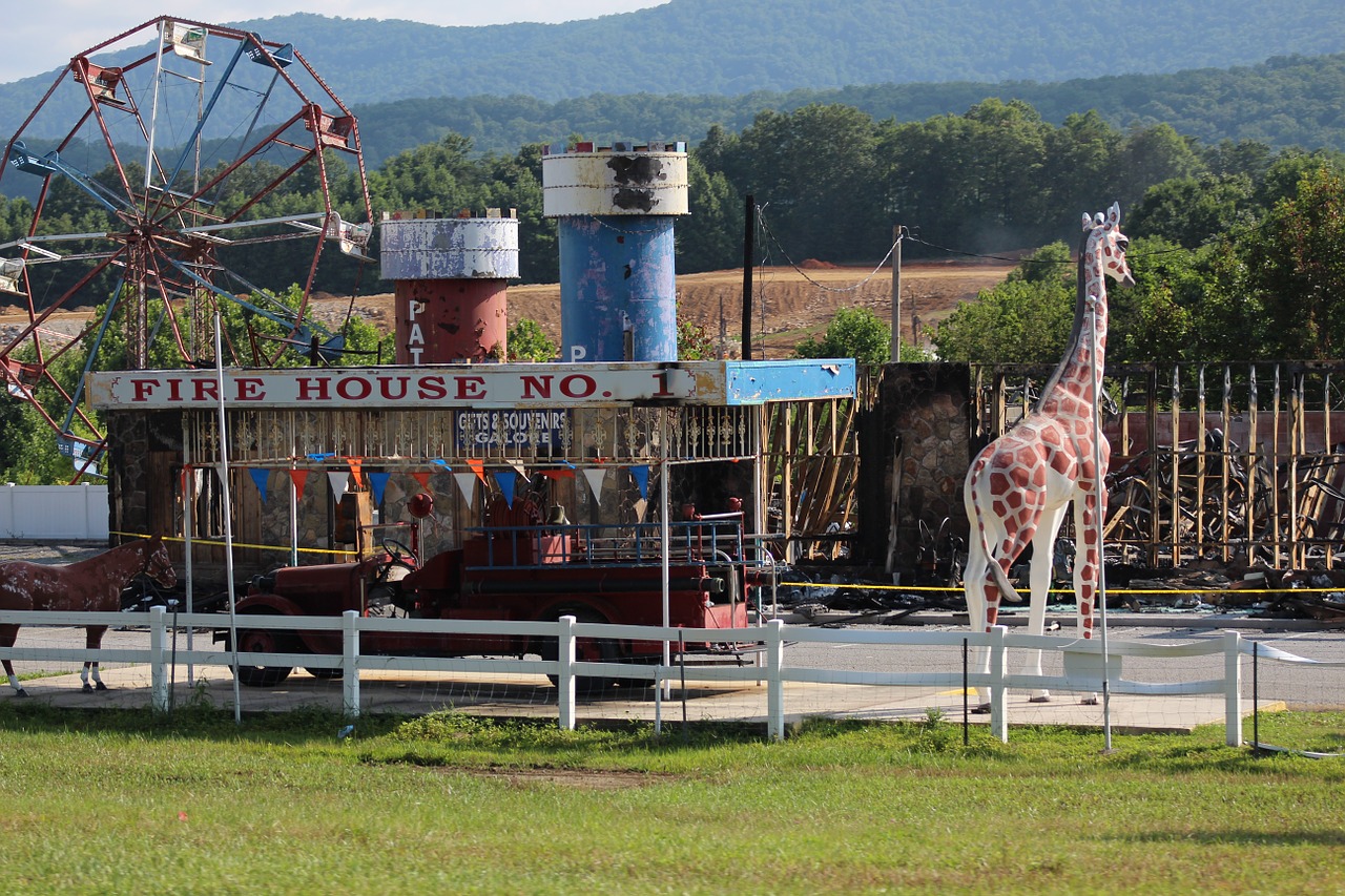 rustic vintage carnival carnival free photo