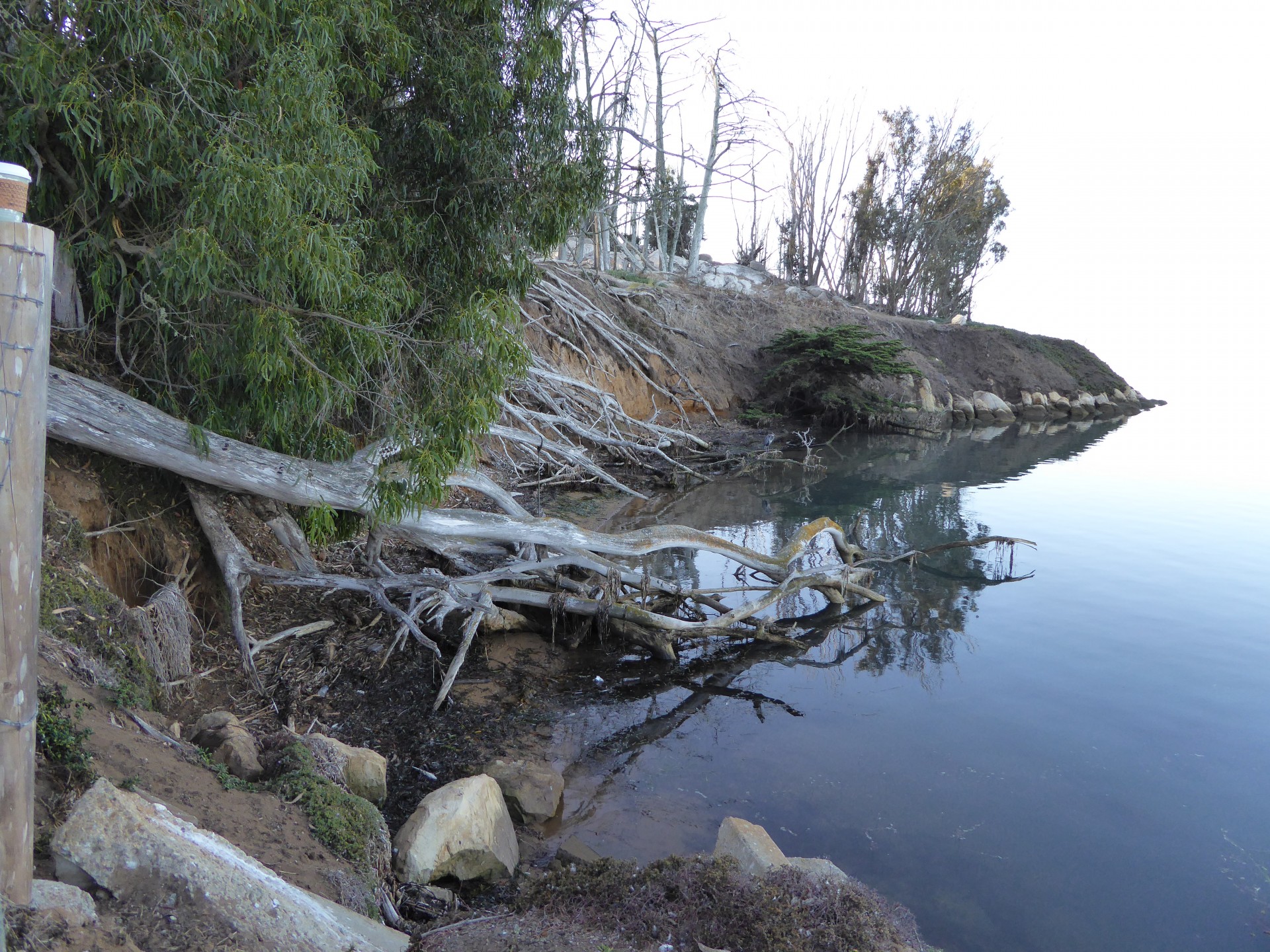 tranquil water bay free photo