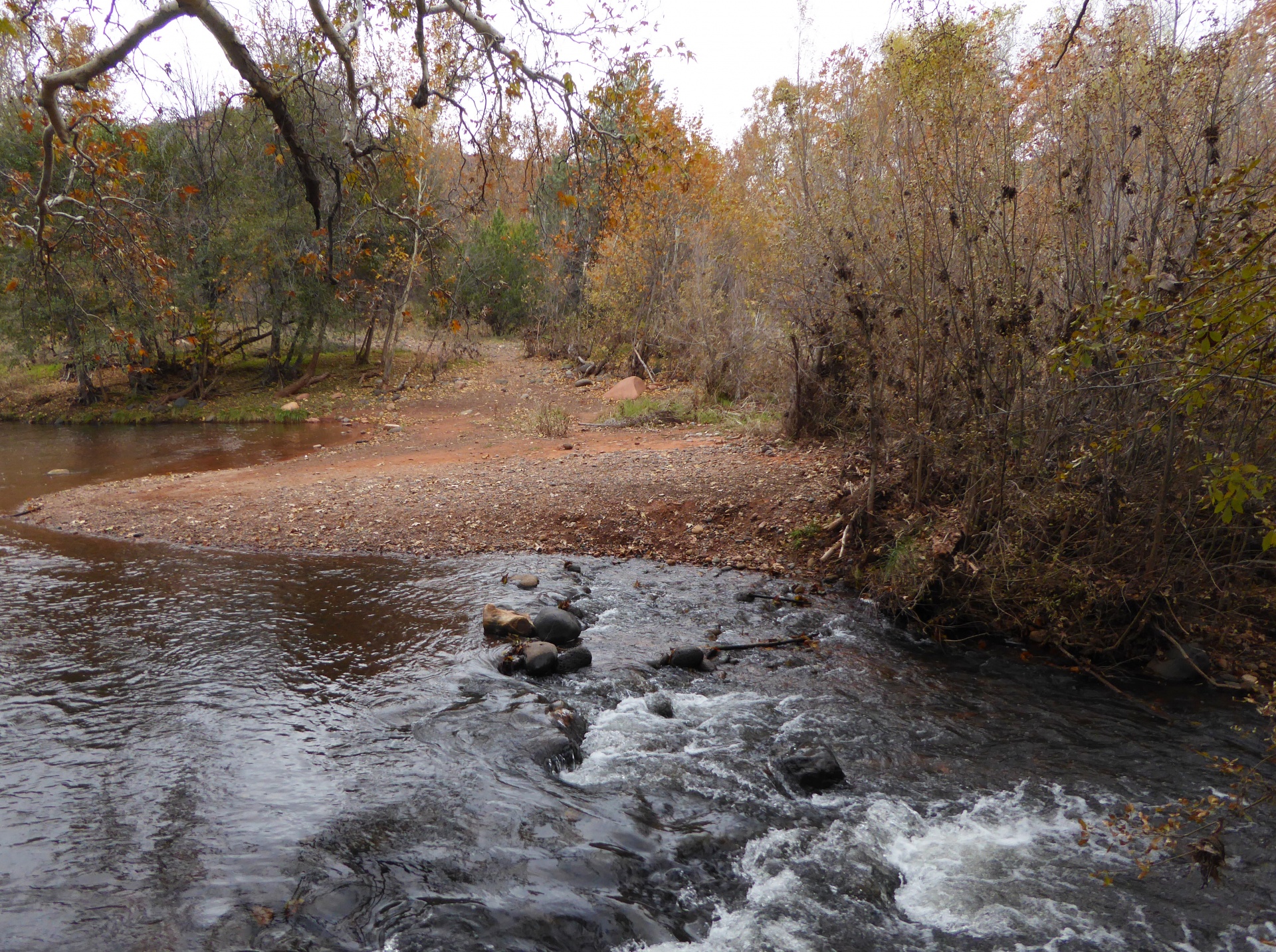 stream river brook free photo