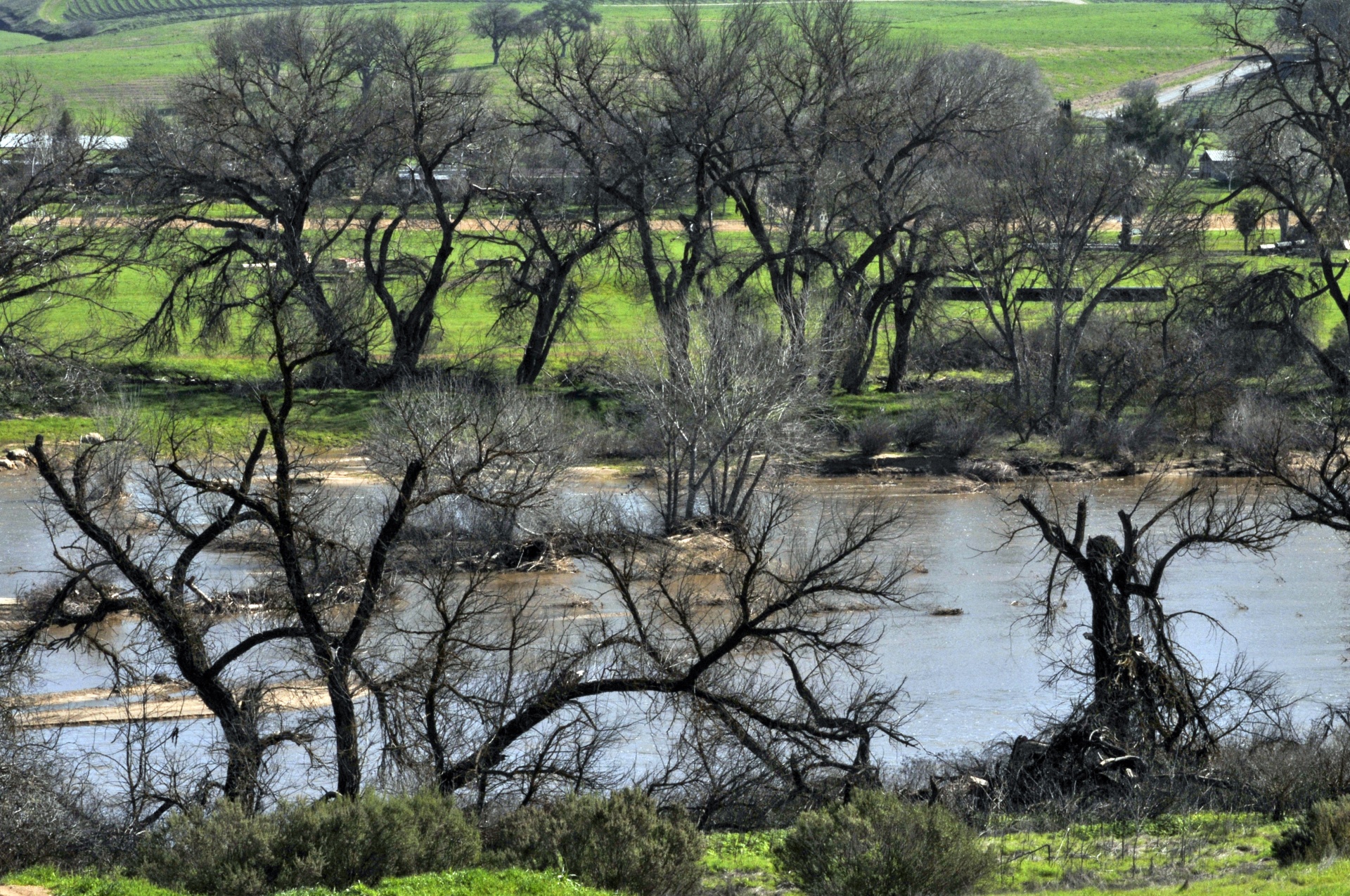 landscape rural pond free photo