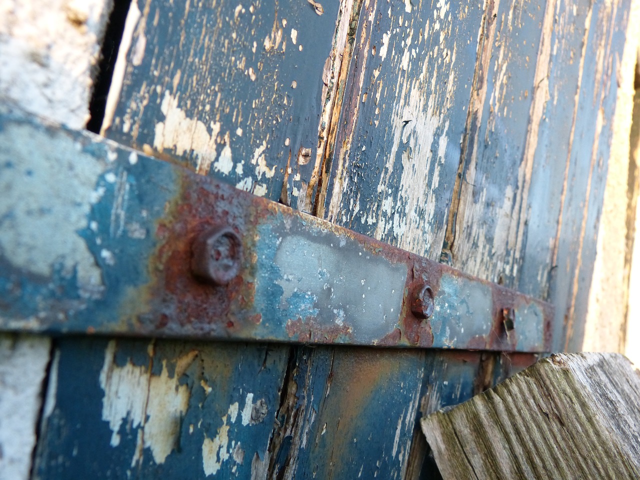 rusts door garden free photo