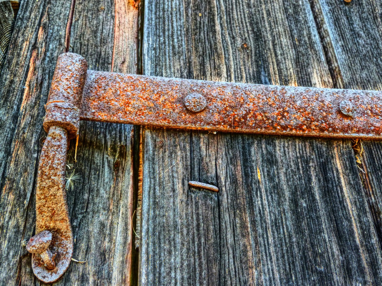 rusty butt hinge hinge free photo