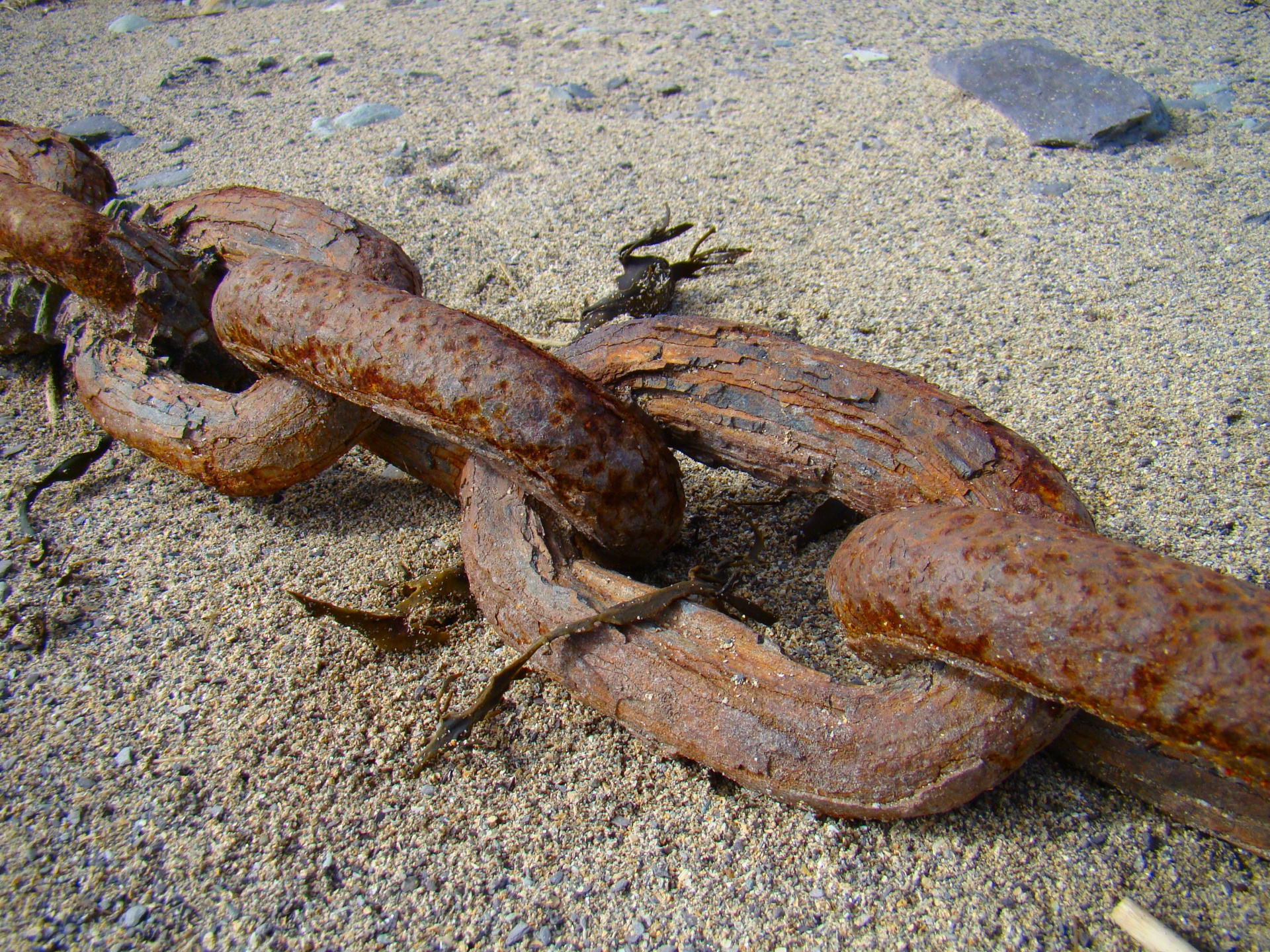 rust chain anchor free photo