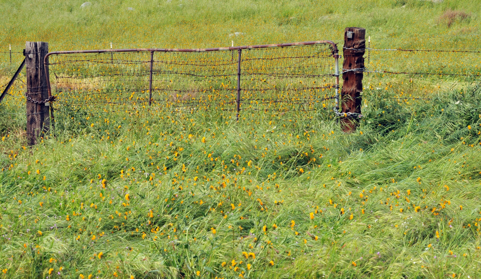 old rusty fence free photo