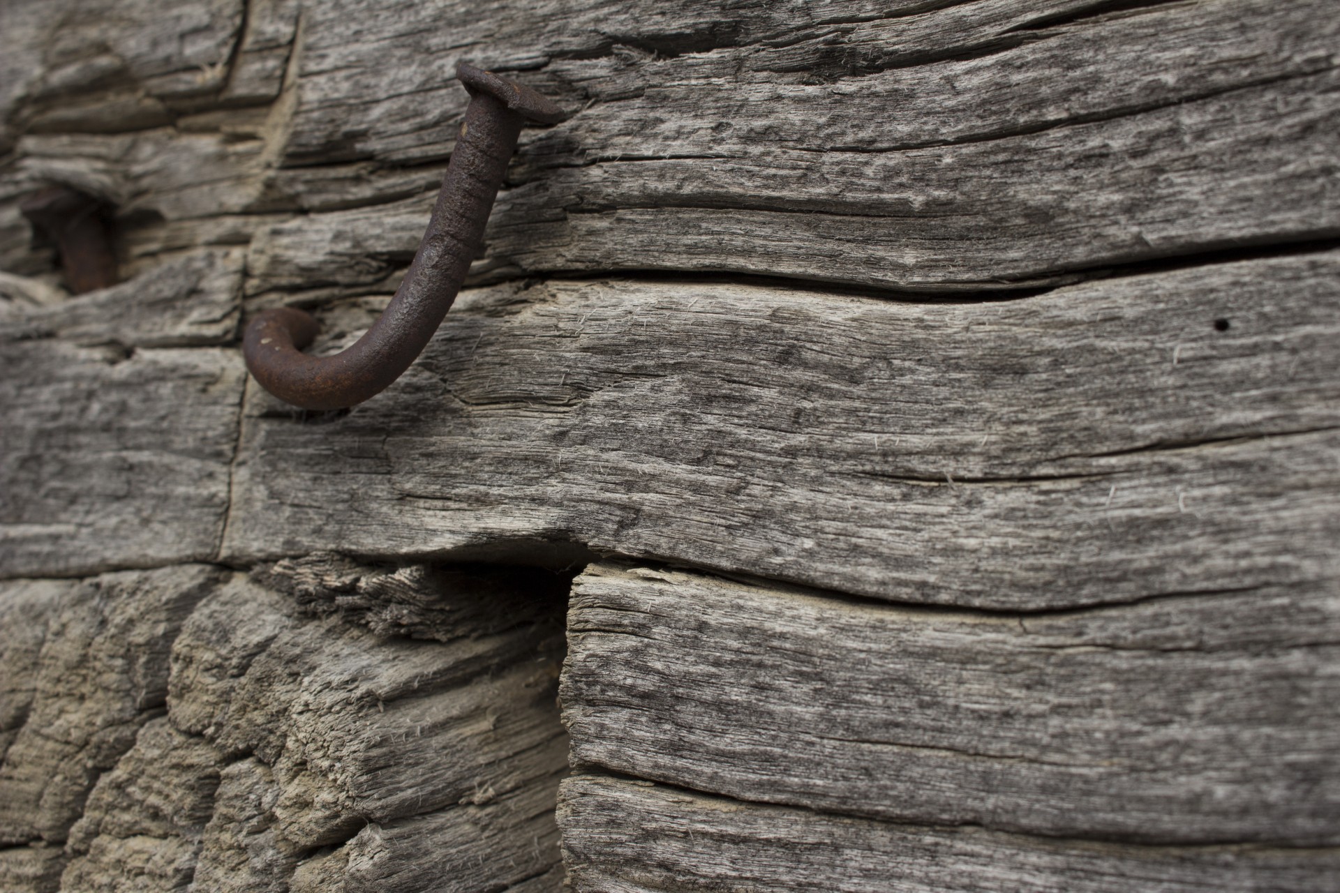 rusty nail farm free photo