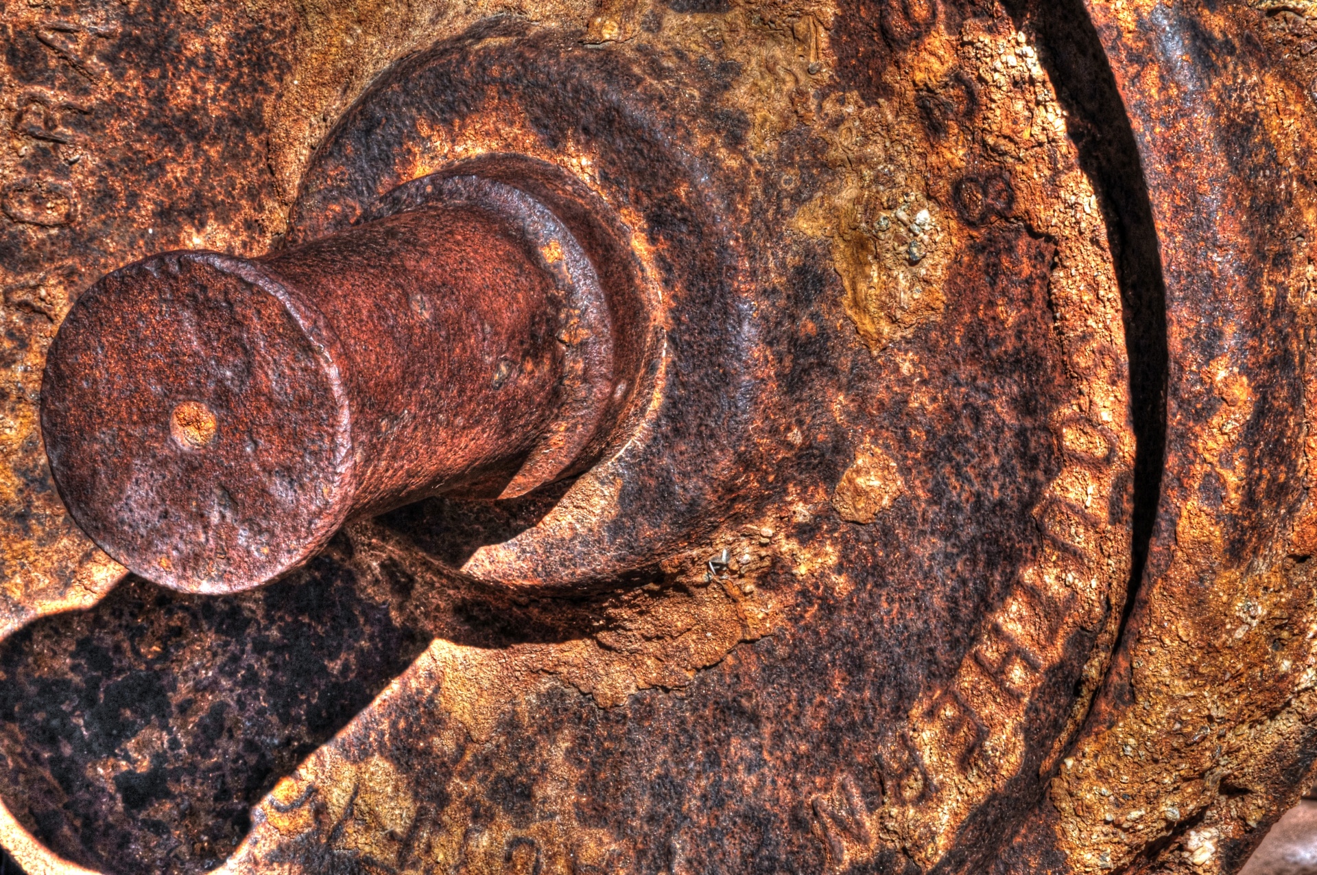 wheel old vintage free photo