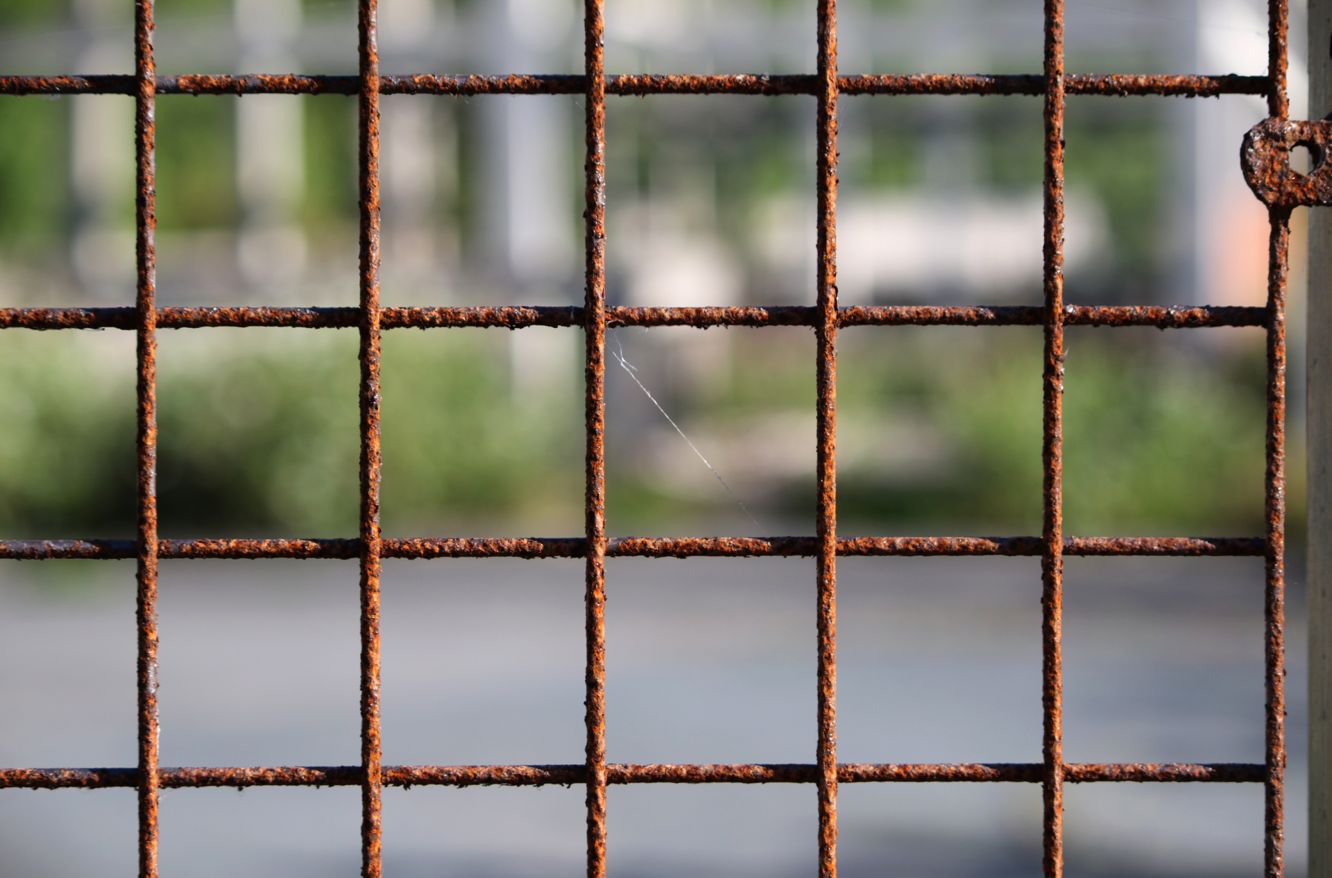 rusty wire fence free photo