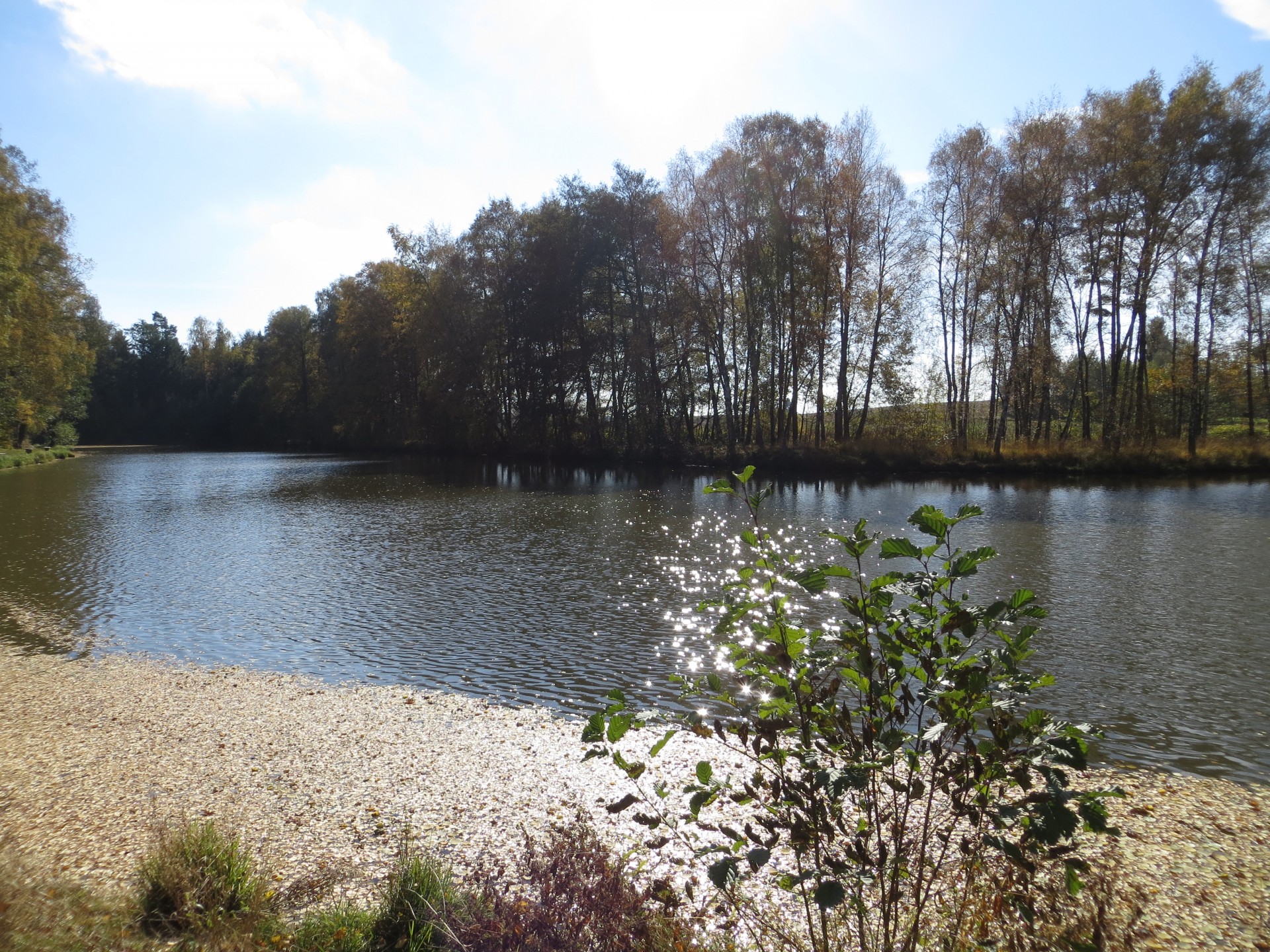 pond autumn pond in autumn free photo