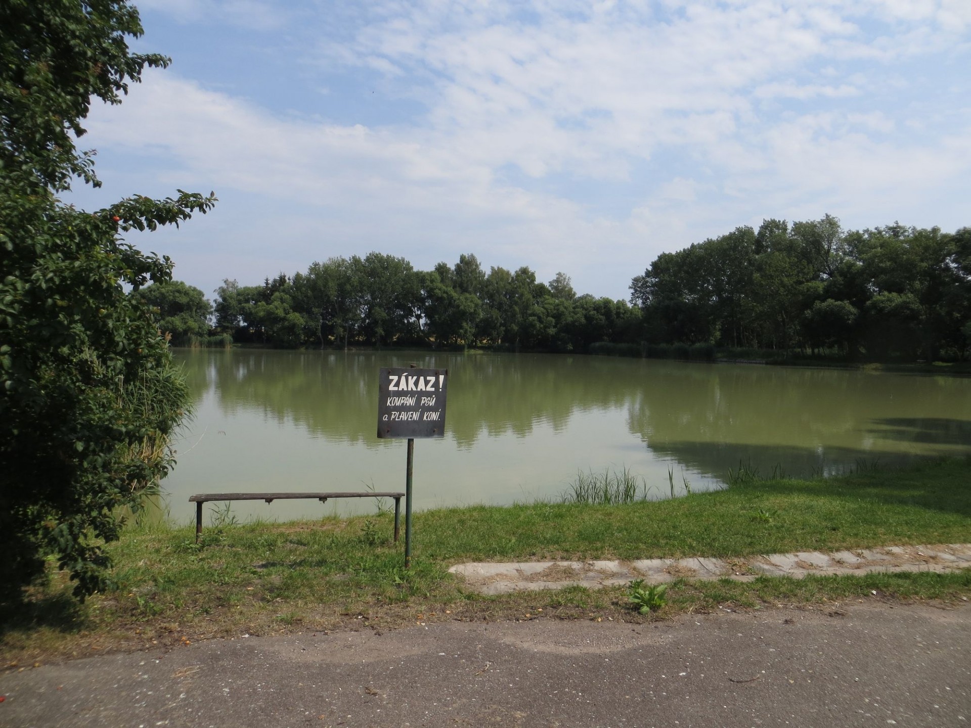 pond zasadnik water free photo