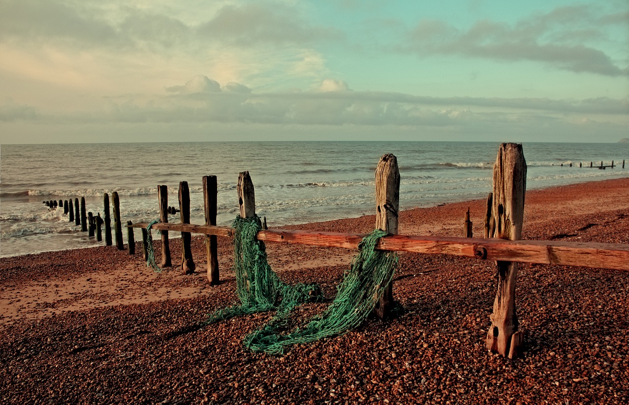 rye sussex beach free photo