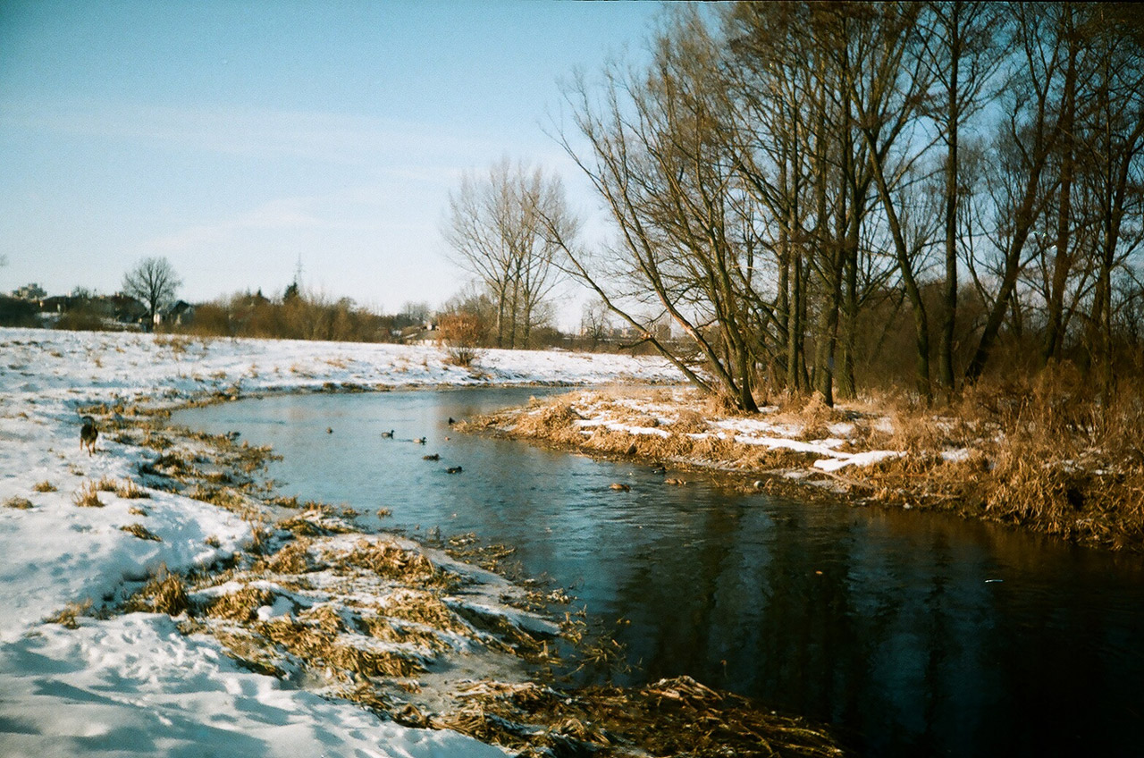 winter lublin river in lublin free photo