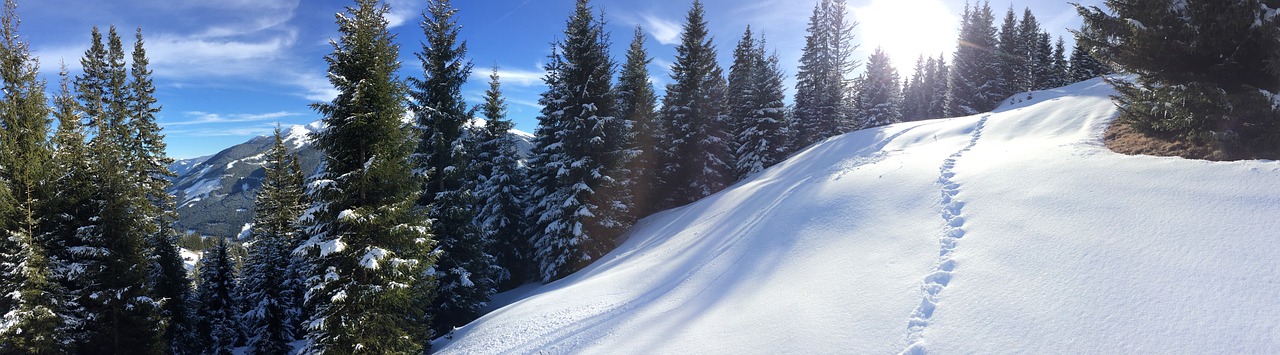 saalbach  saalbach hinterglemm  austria free photo