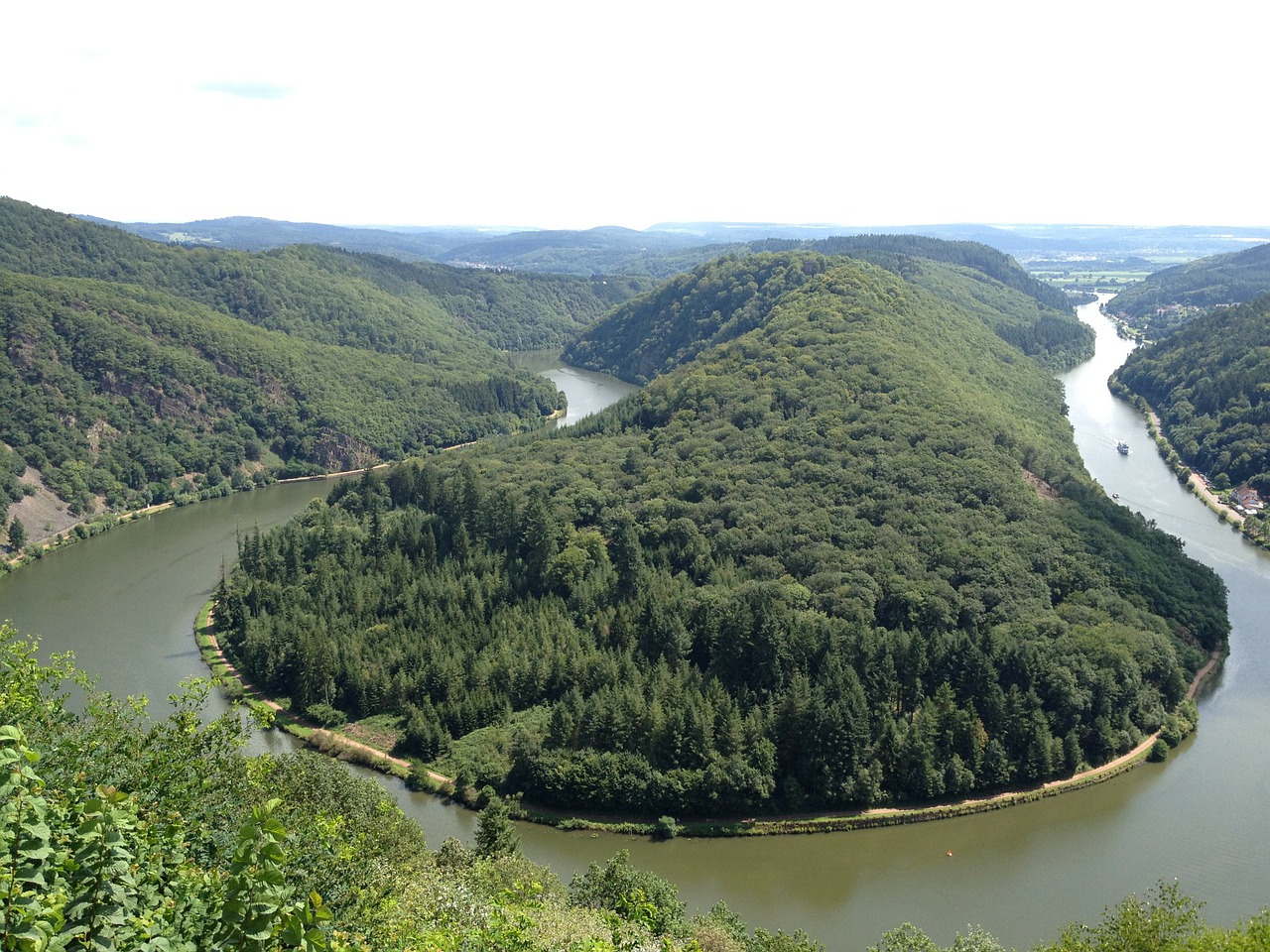 saarland forest nature free photo