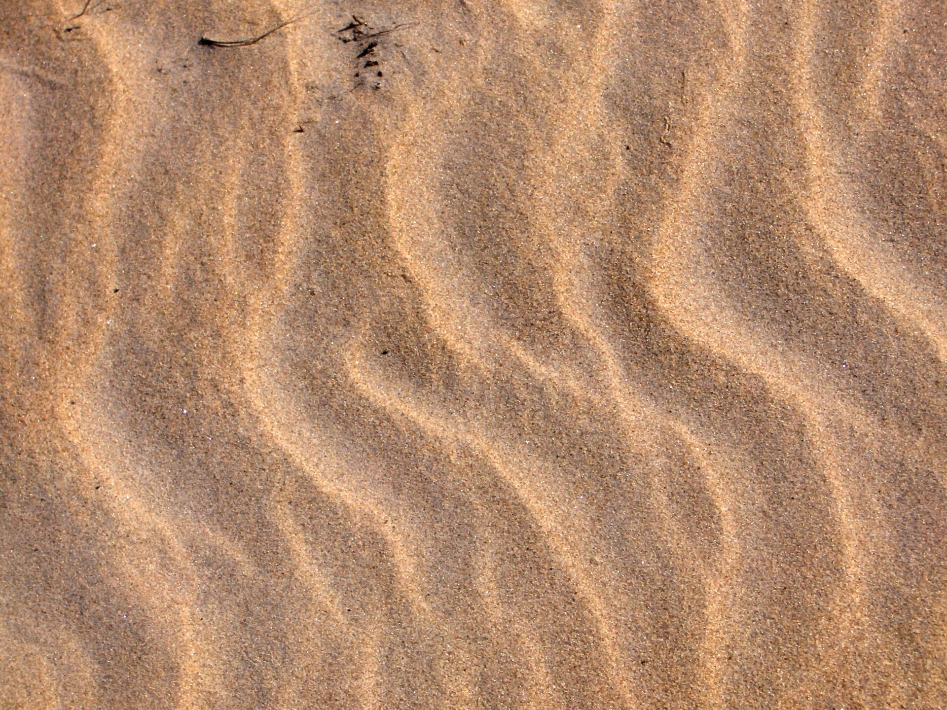 sand beach sand beach (3) free photo
