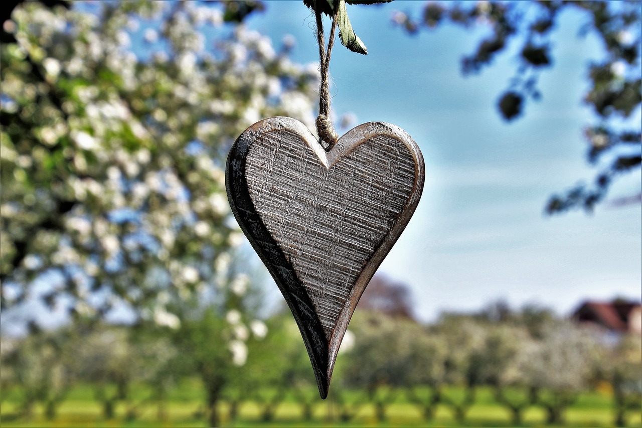 sad  heart  spring free photo