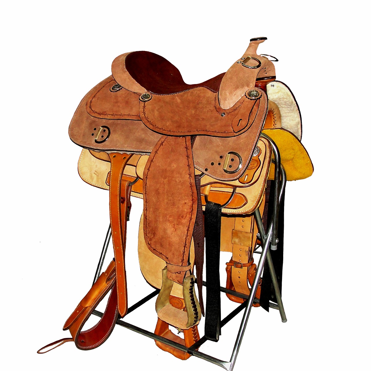 saddle horse stirrup free photo
