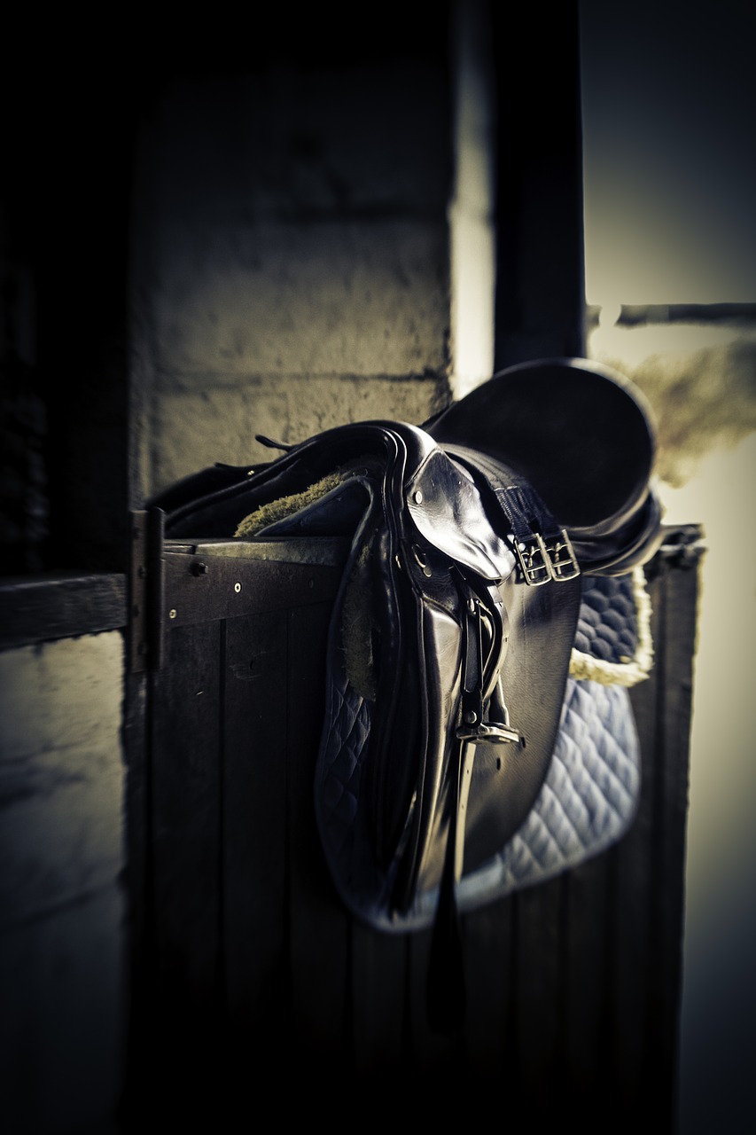 saddle stable door equestrian free photo