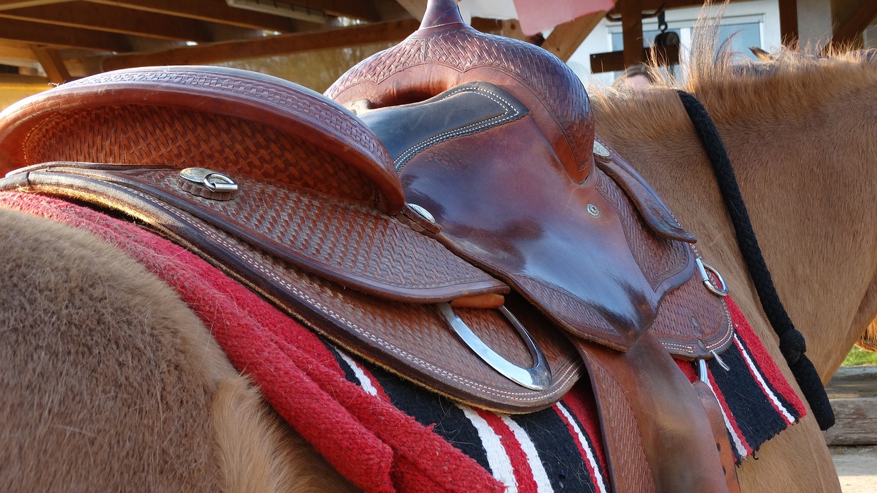 saddle  cowboy  western free photo