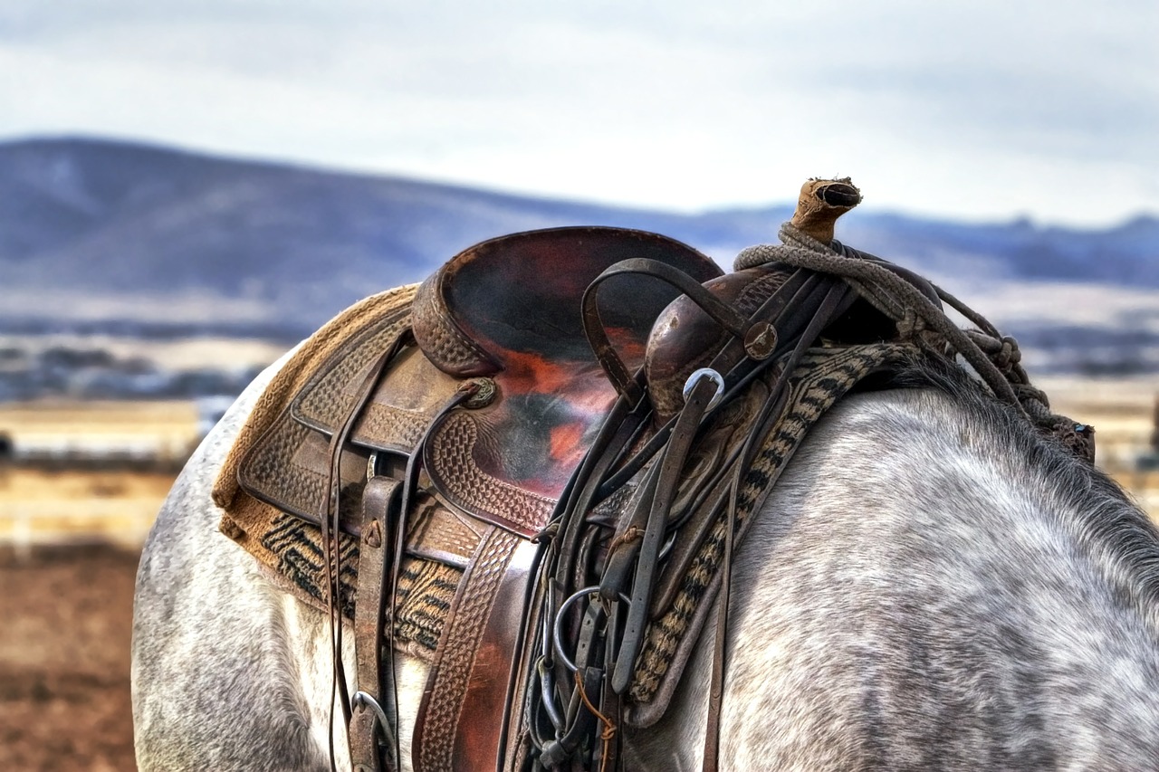 saddle horse cowboy free photo