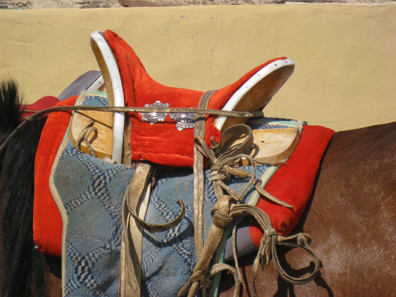 saddle horse mongolia free photo
