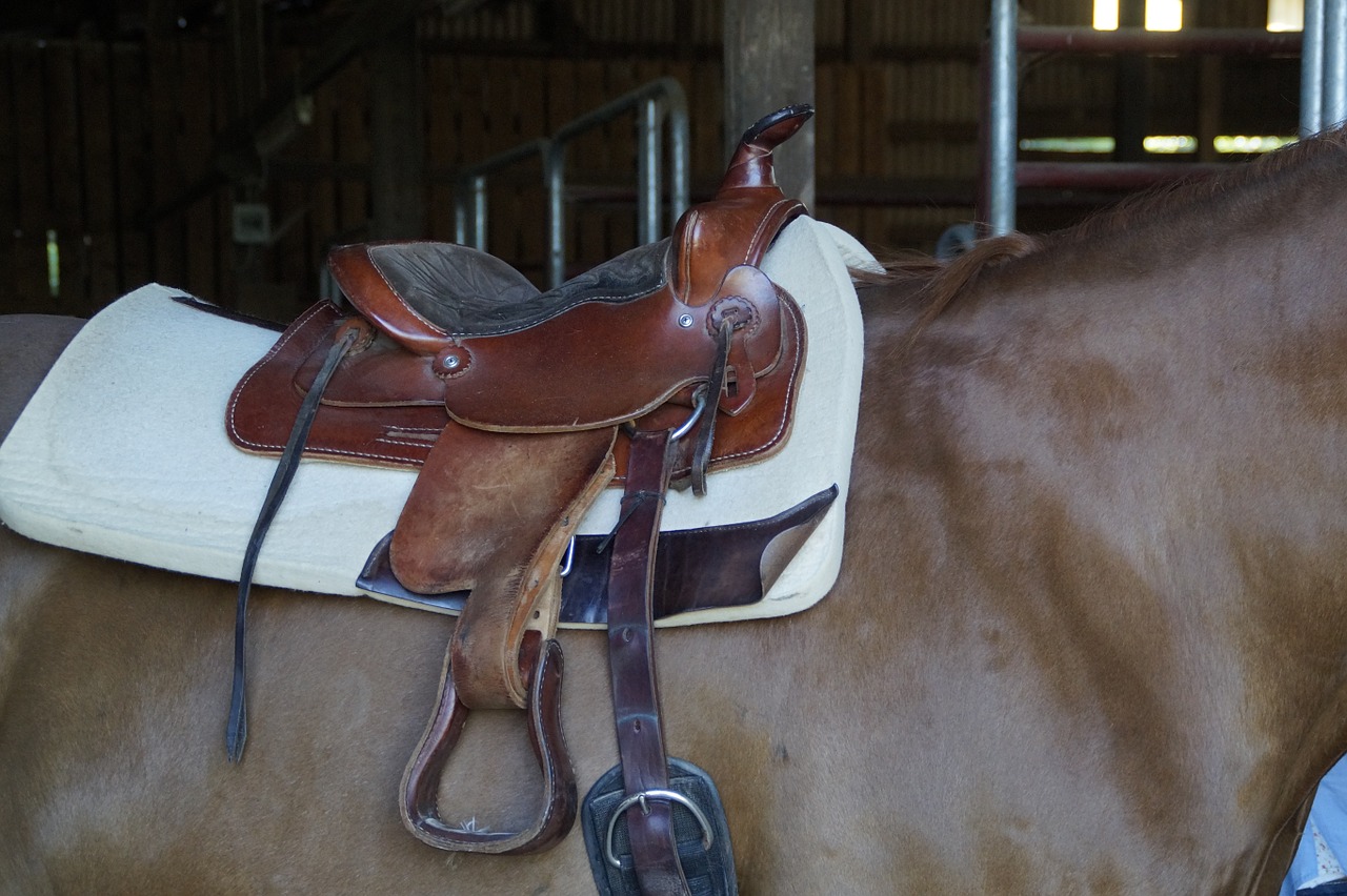 saddle western saddle saddled free photo