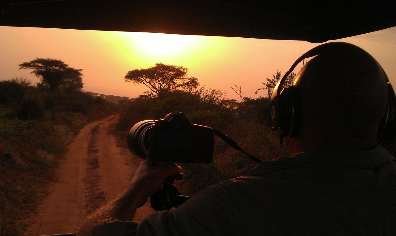 safari sunset africa free photo