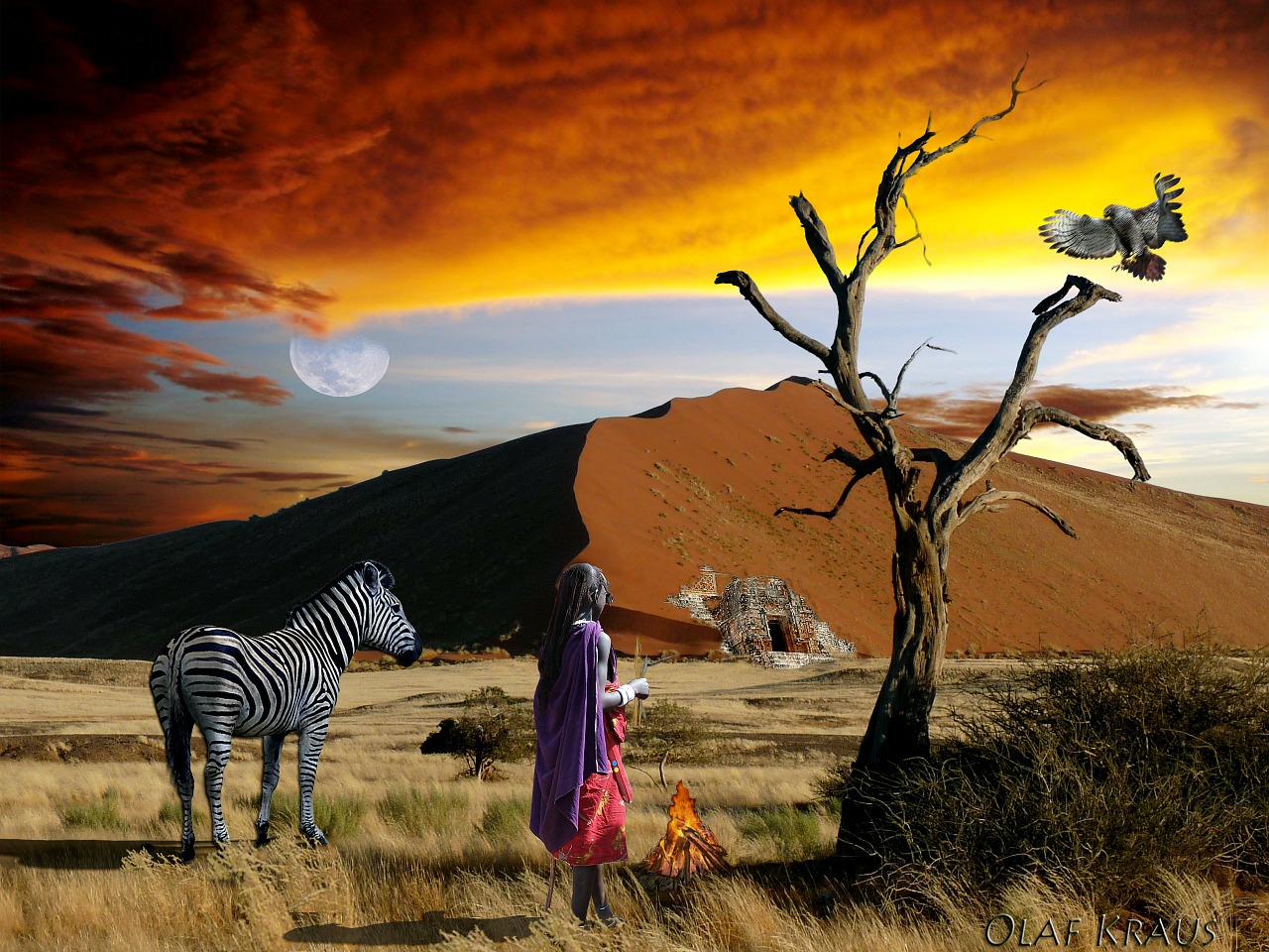 safari africa zebra free photo