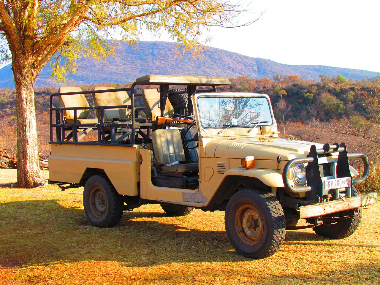 safari jeep vehicle free photo