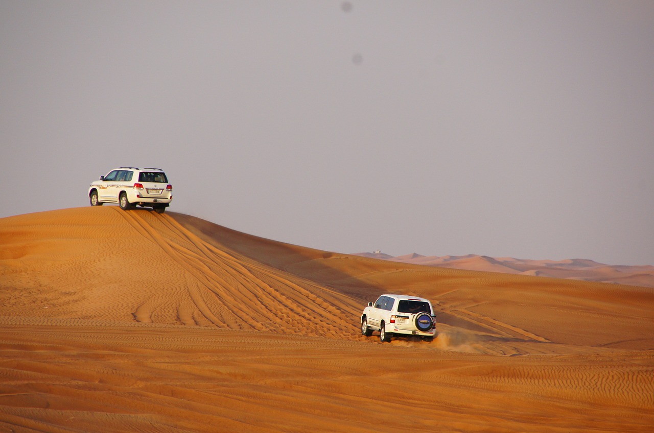 safari dune desert free photo