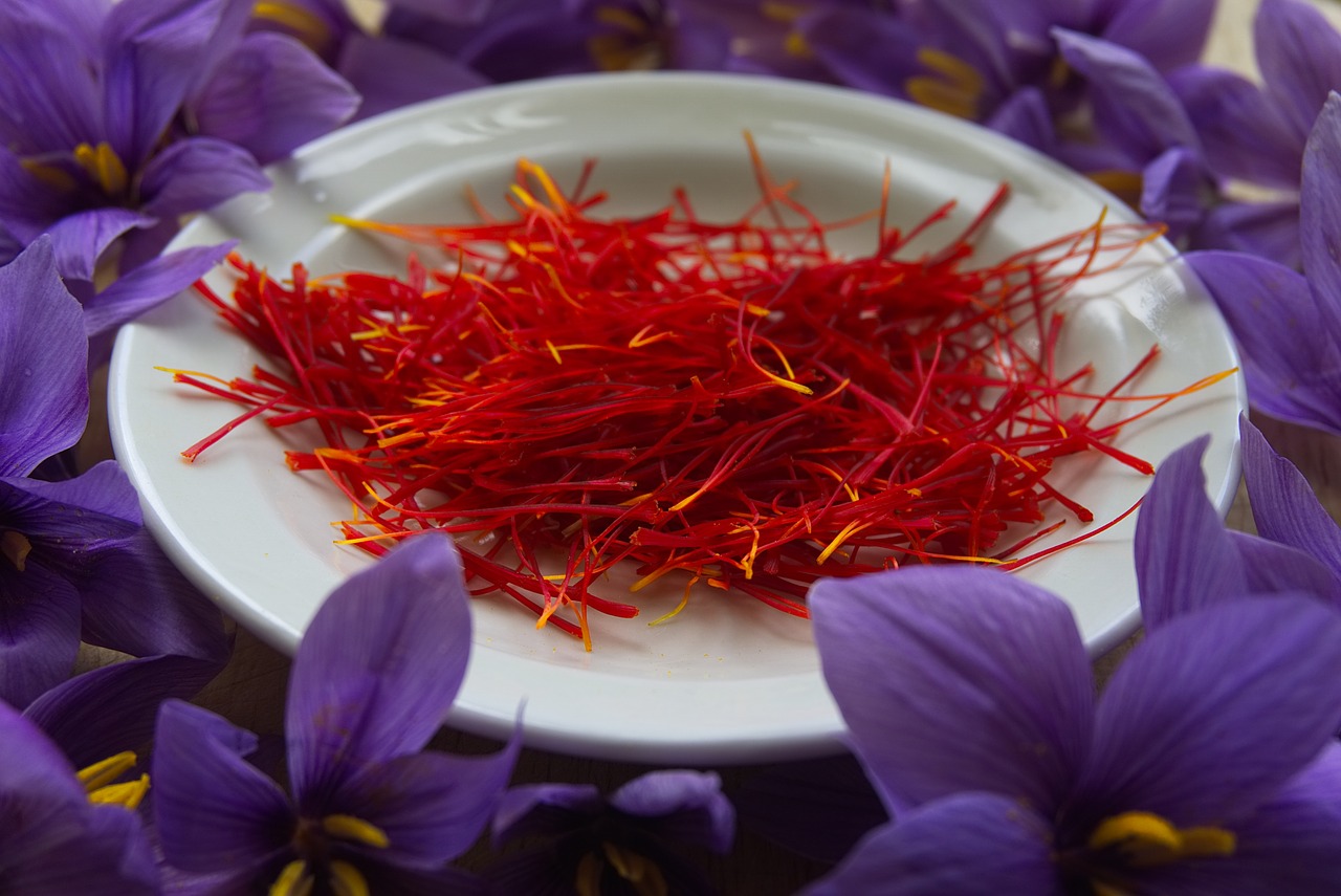 saffron spice pistils free photo