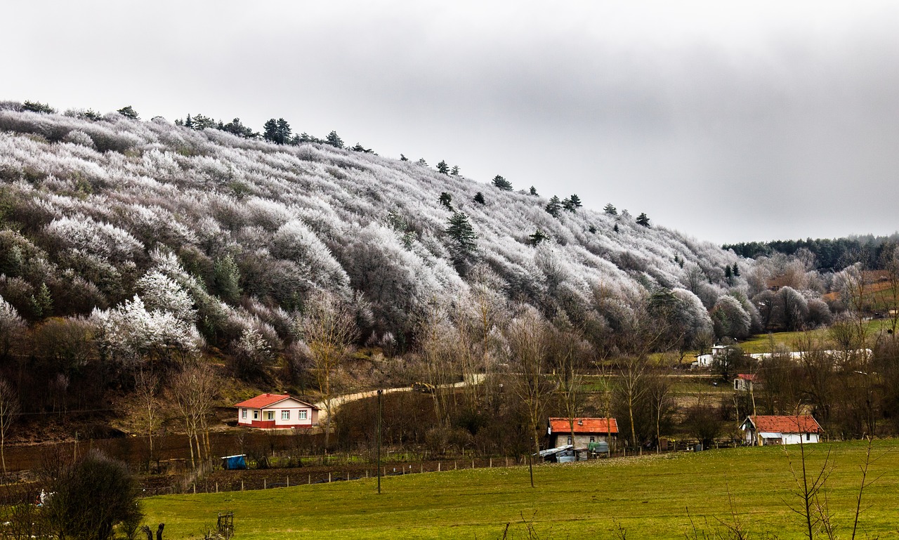 safranbolu  village  winter free photo