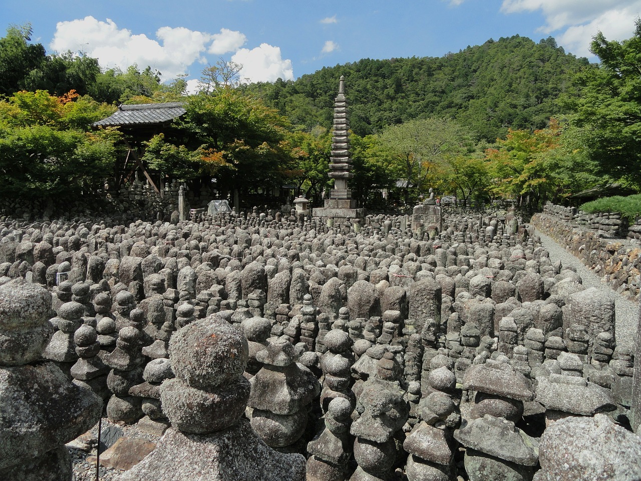 sagano japan landscape free photo